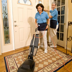 Domestic Cleaning Services